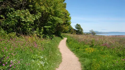 An image depicting the trail Fife Coastal Path and its surrounding area.