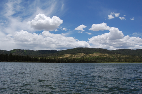 An image depicting the trail Squirrel Springs - Juniper Loop Trail and its surrounding area.