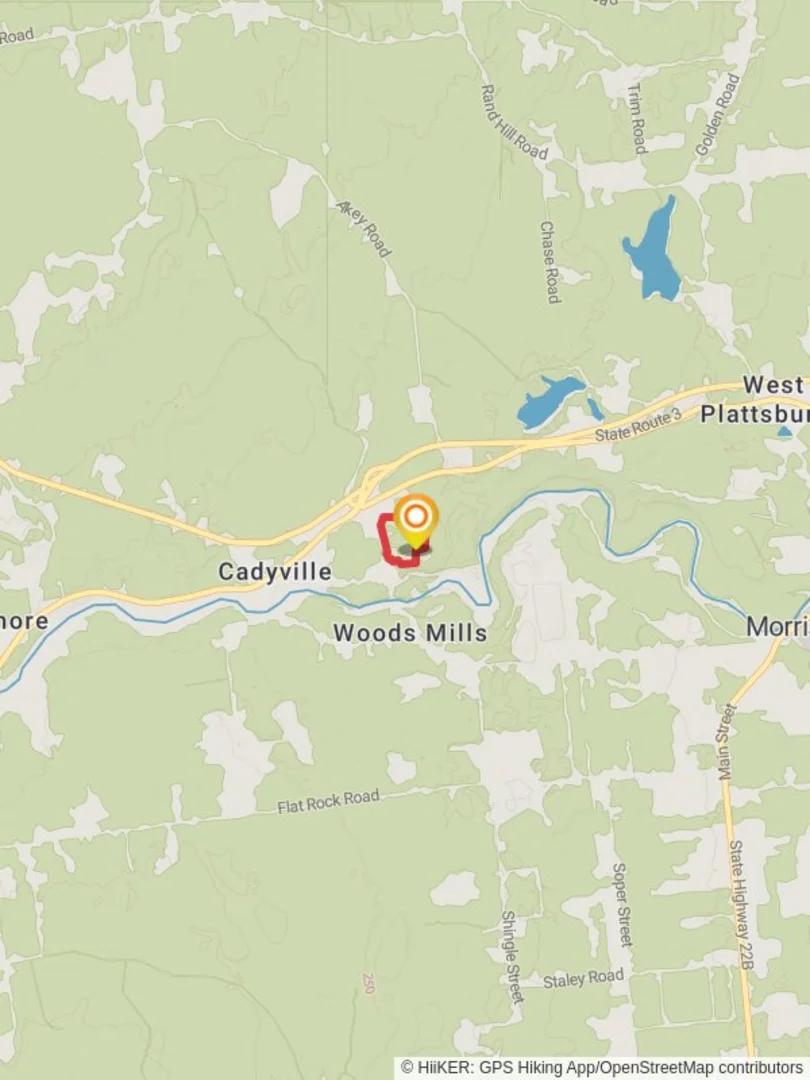 An image depicting the trail Cadyville Recreation Park Loop and its surrounding area.