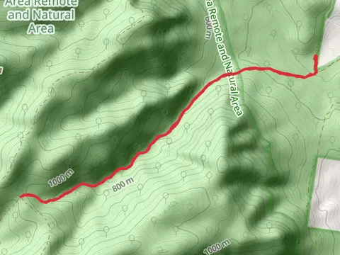 Hinces Creek and Hinces Saddle Trail