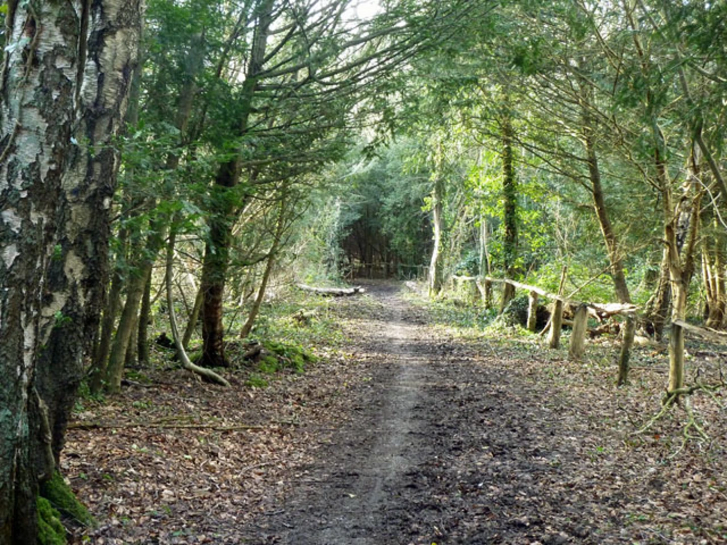 An image depicting the trail Hayes Common Walk and its surrounding area.