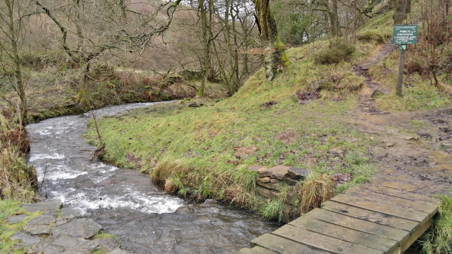 An image depicting the trail Abney Low Hill Loop and its surrounding area.