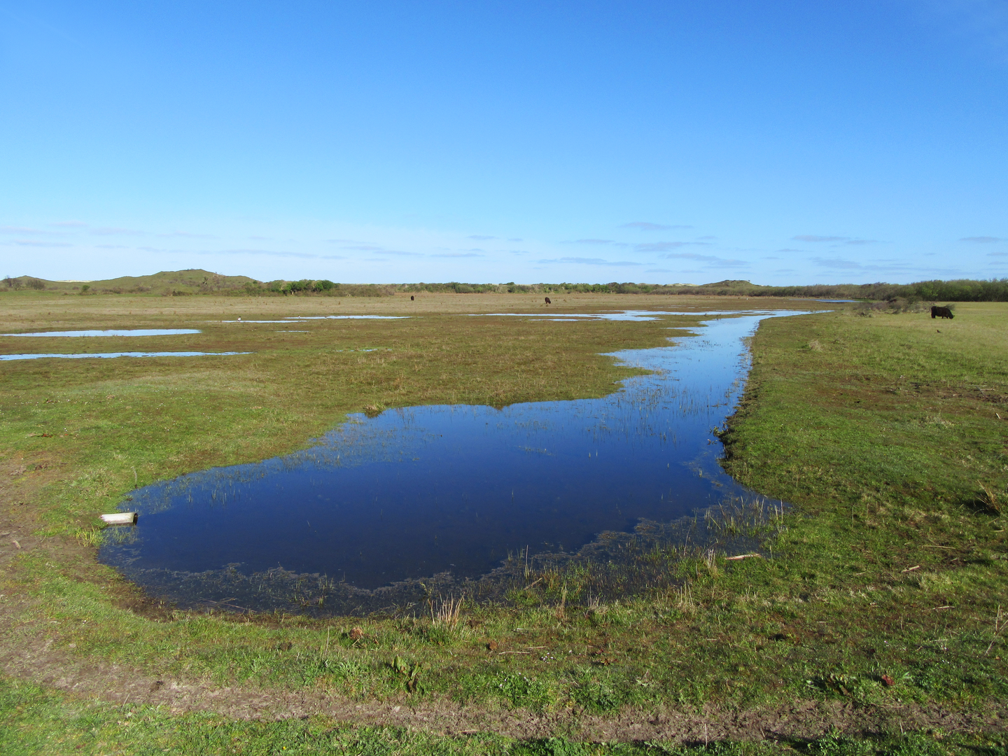 An image depicting the trail Slufferbollen and De Nederlanden Loop and its surrounding area.