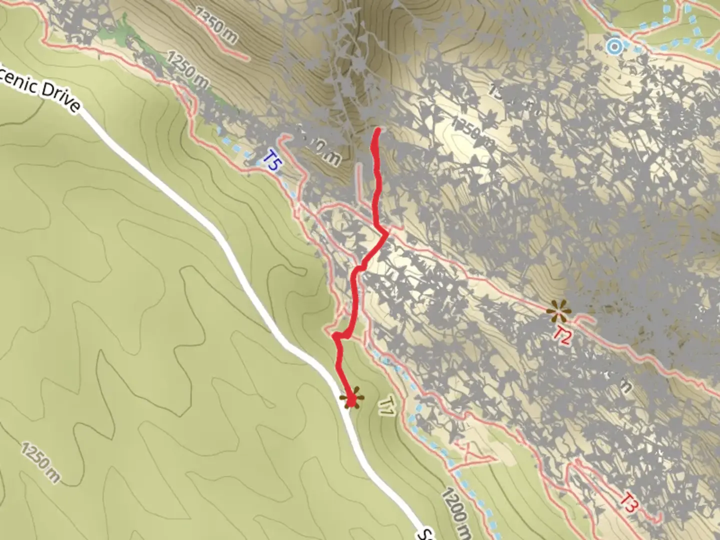 An image depicting the trail Approach to Meetup Wall and its surrounding area.