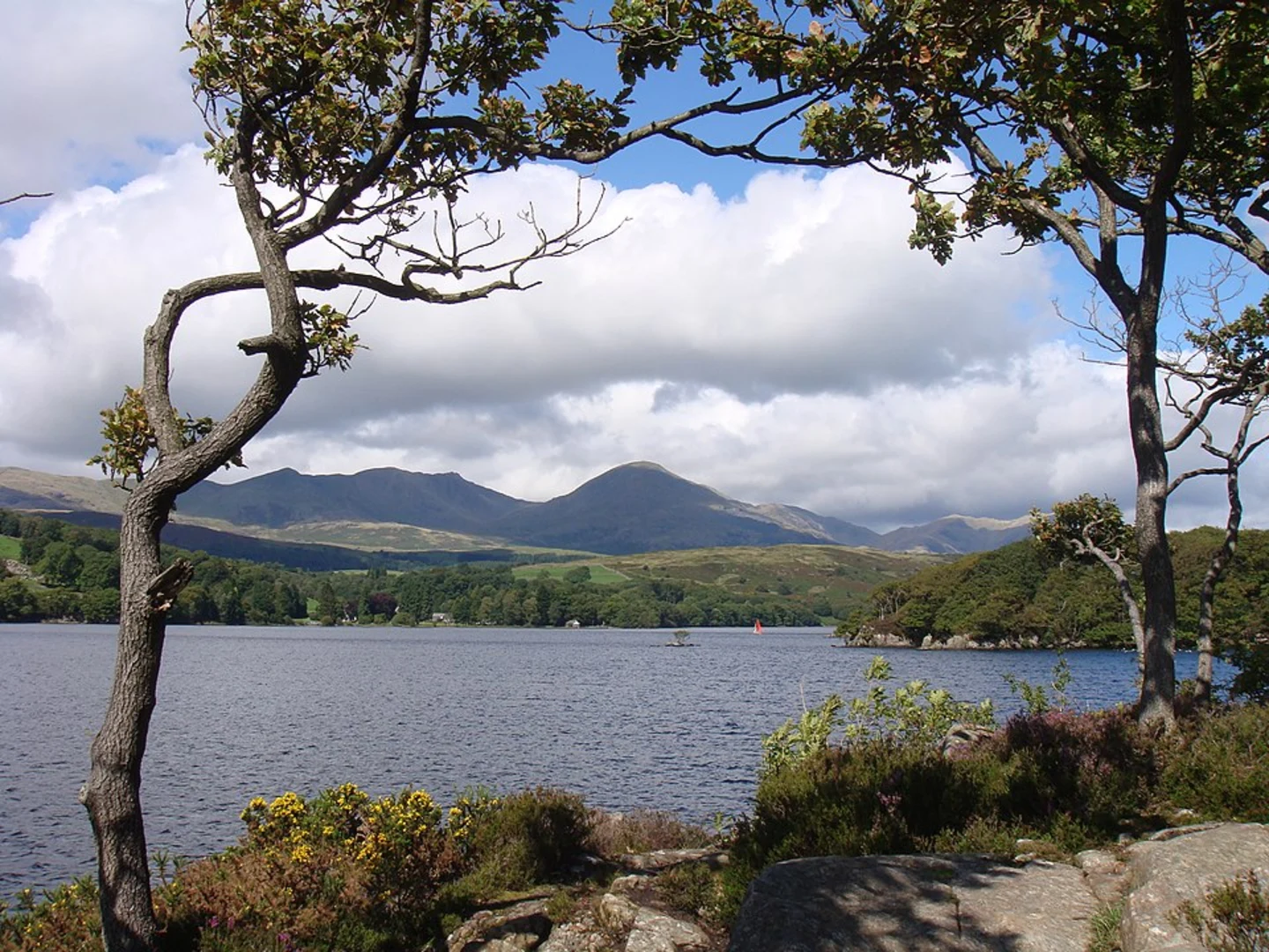 An image depicting the trail Coniston Water and Torver Common Wood and its surrounding area.