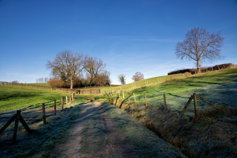 De Dellen, Gerendal and Ravensbosch Loop
