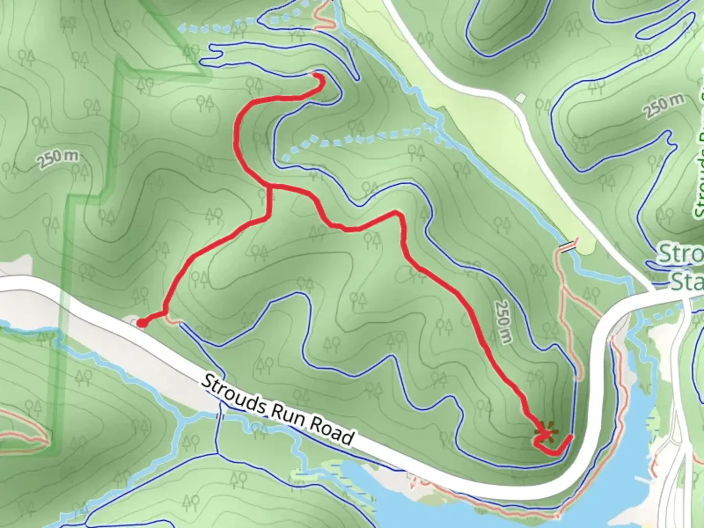 An image depicting the trail White Pine Trail and Vista Point Loop Trail and its surrounding area.