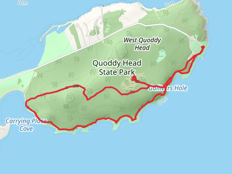 Quoddy Head Loop from Quoddy Head Road