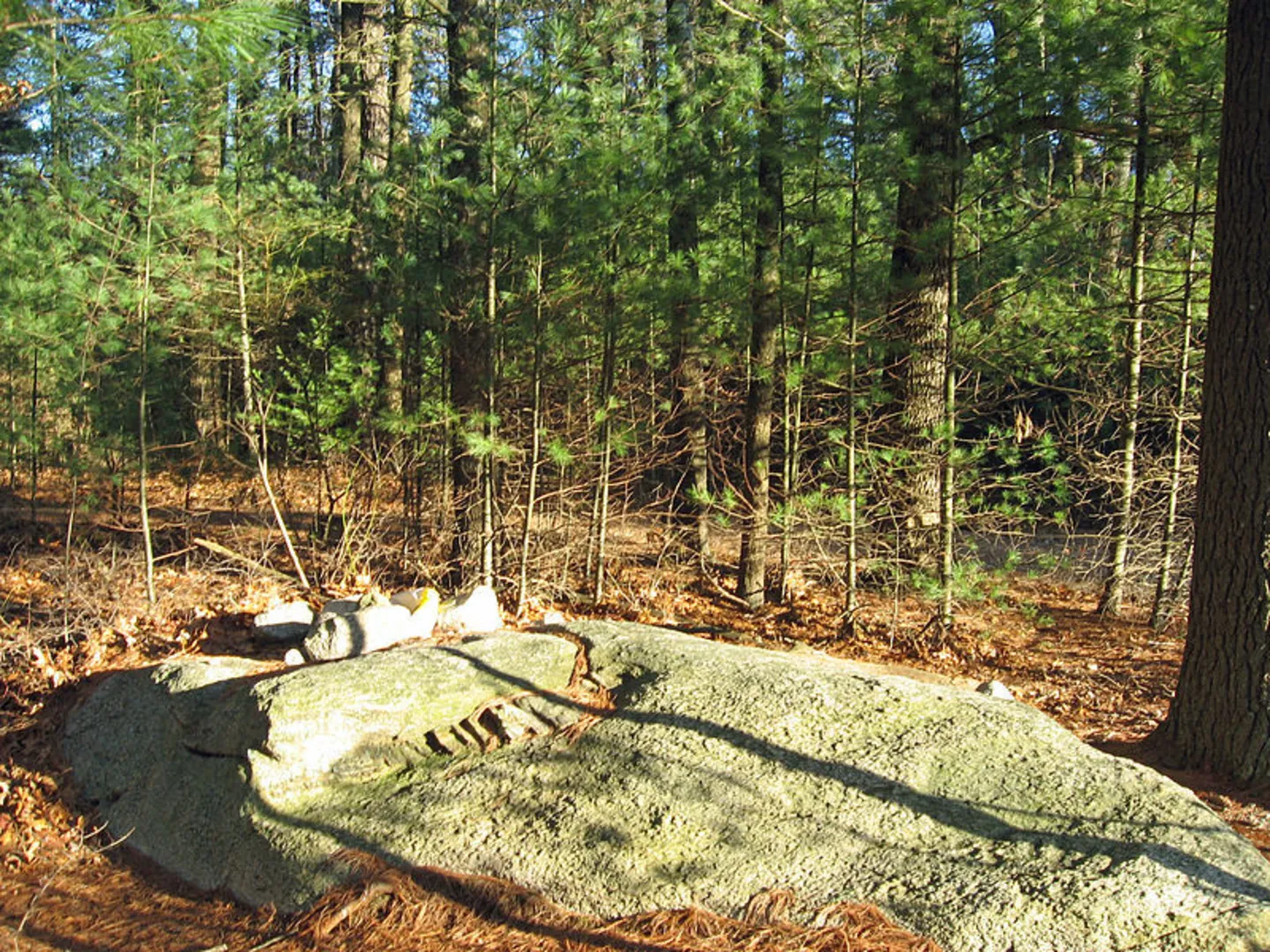 An image depicting the trail Jerimoth Hill and its surrounding area.