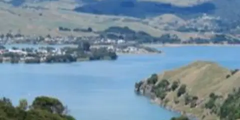 An image depicting the trail Mt Karioi Track and its surrounding area.