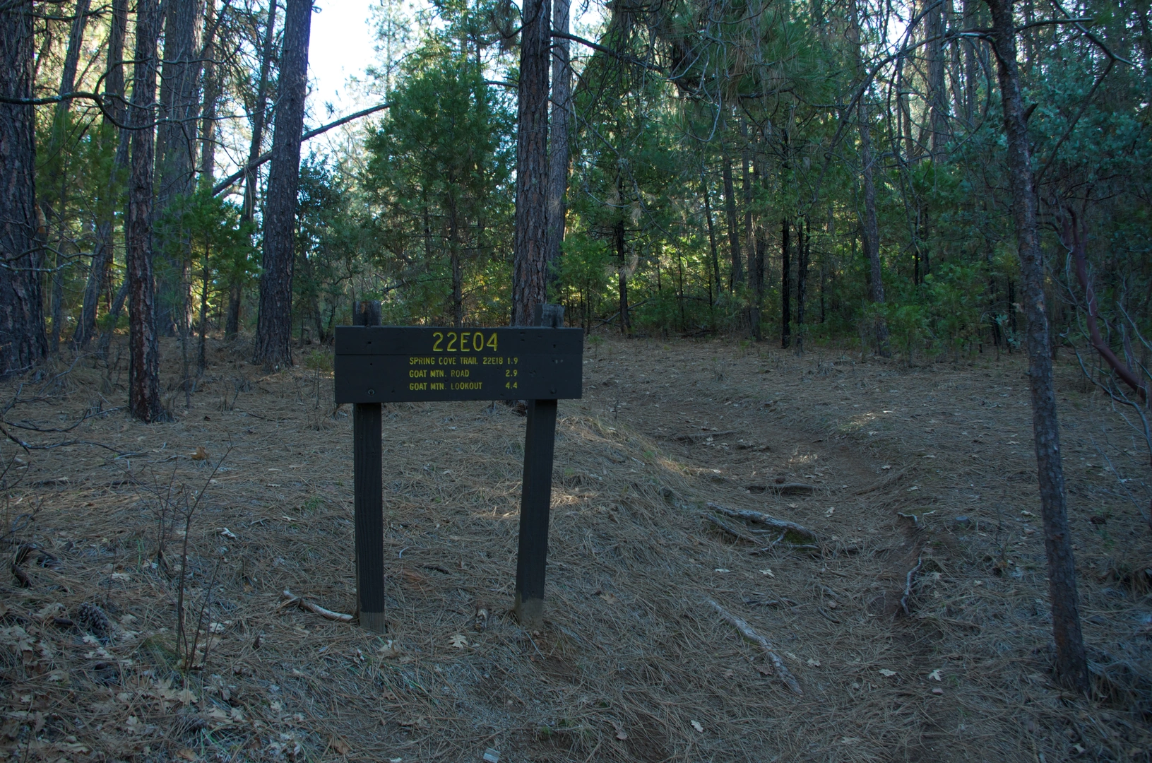 An image depicting the trail Goat Mountain Trail Out and Back and its surrounding area.