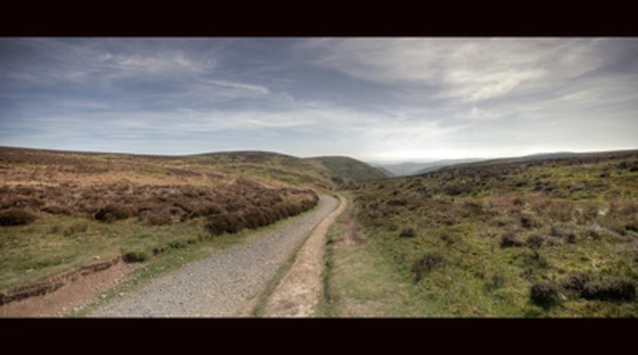 Dr Mott's Road and Reservoir Woods Loop