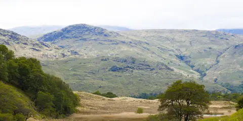 An image depicting the trail Firth o Clyde Rotary Trail and its surrounding area.