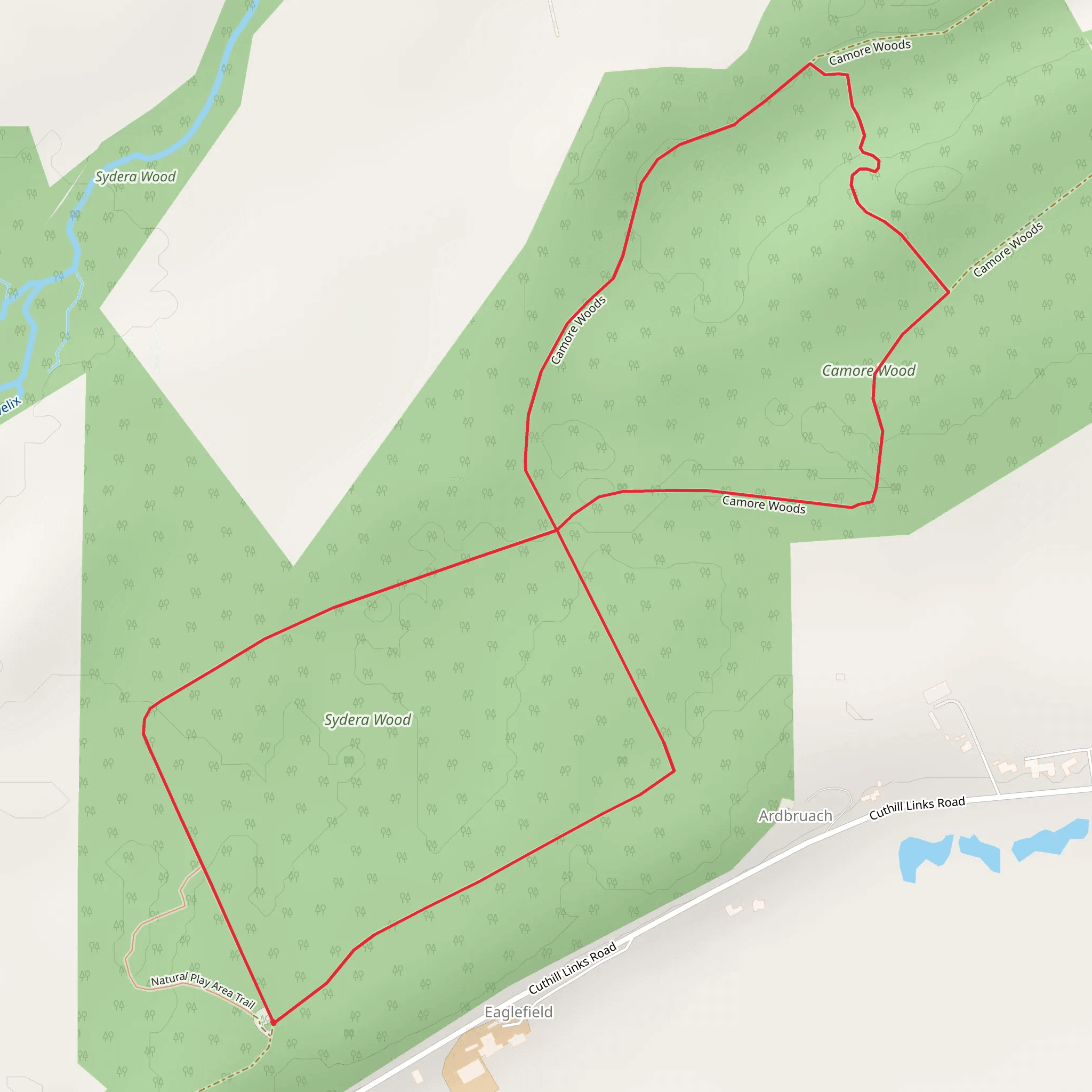 Camore Wood Forest Loop Trail mobile static map