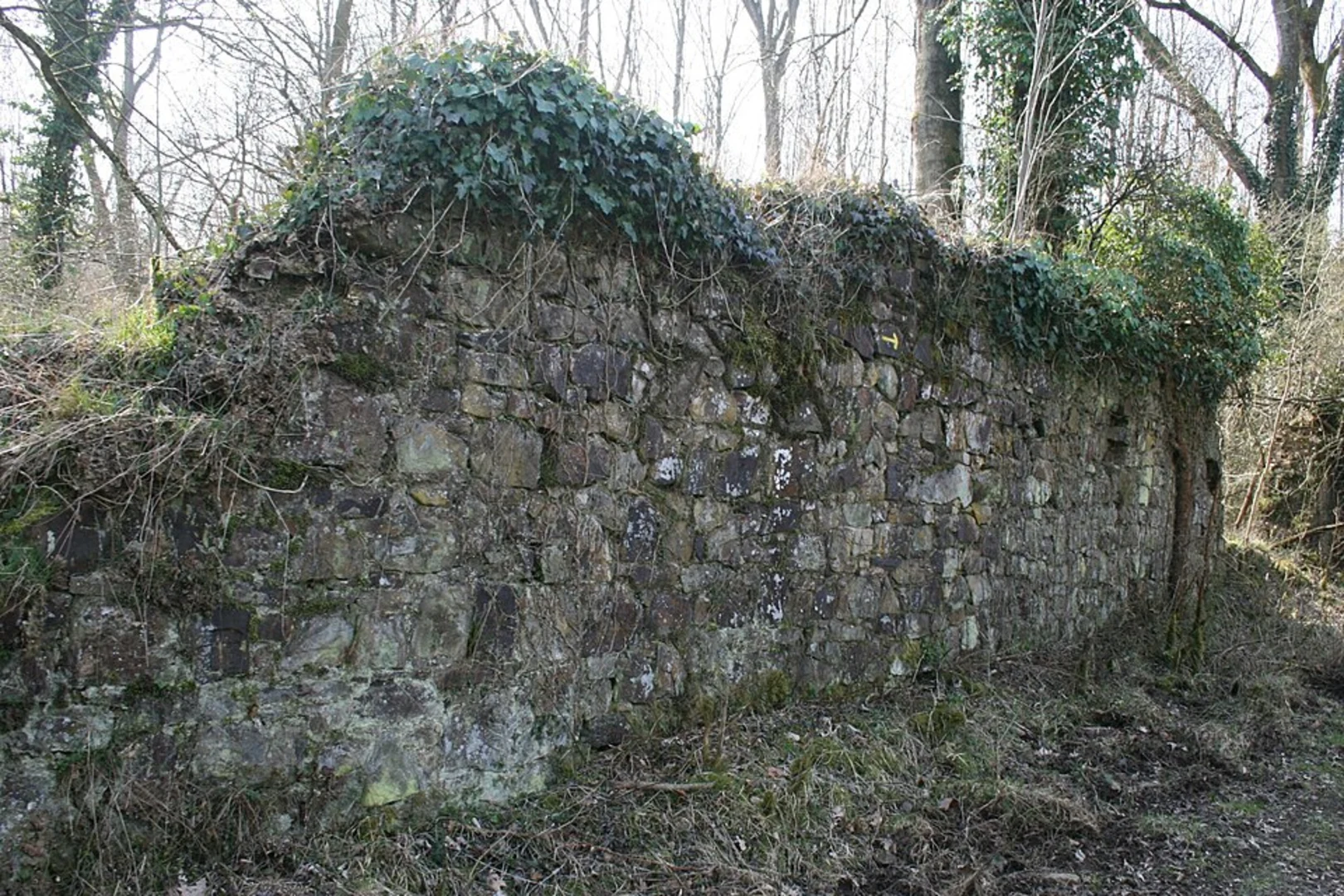 An image depicting the trail Schlich Rundweg 51 and 61 Loop and its surrounding area.