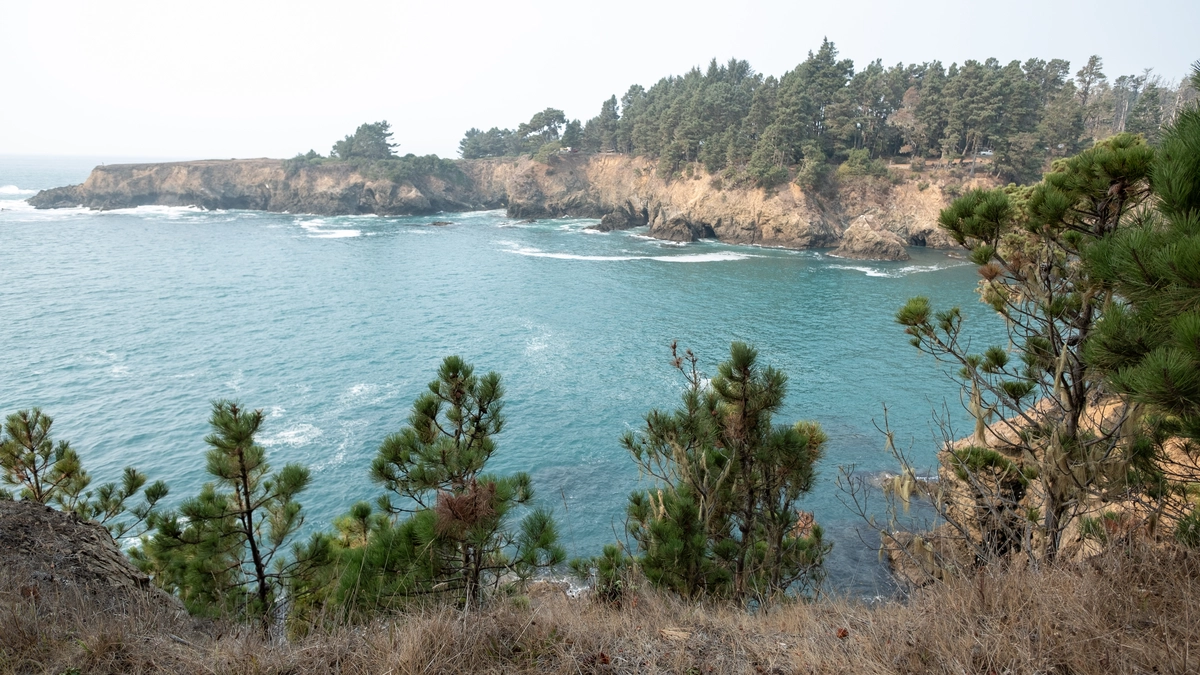 Fern Canyon, Falls and North Loop Trail