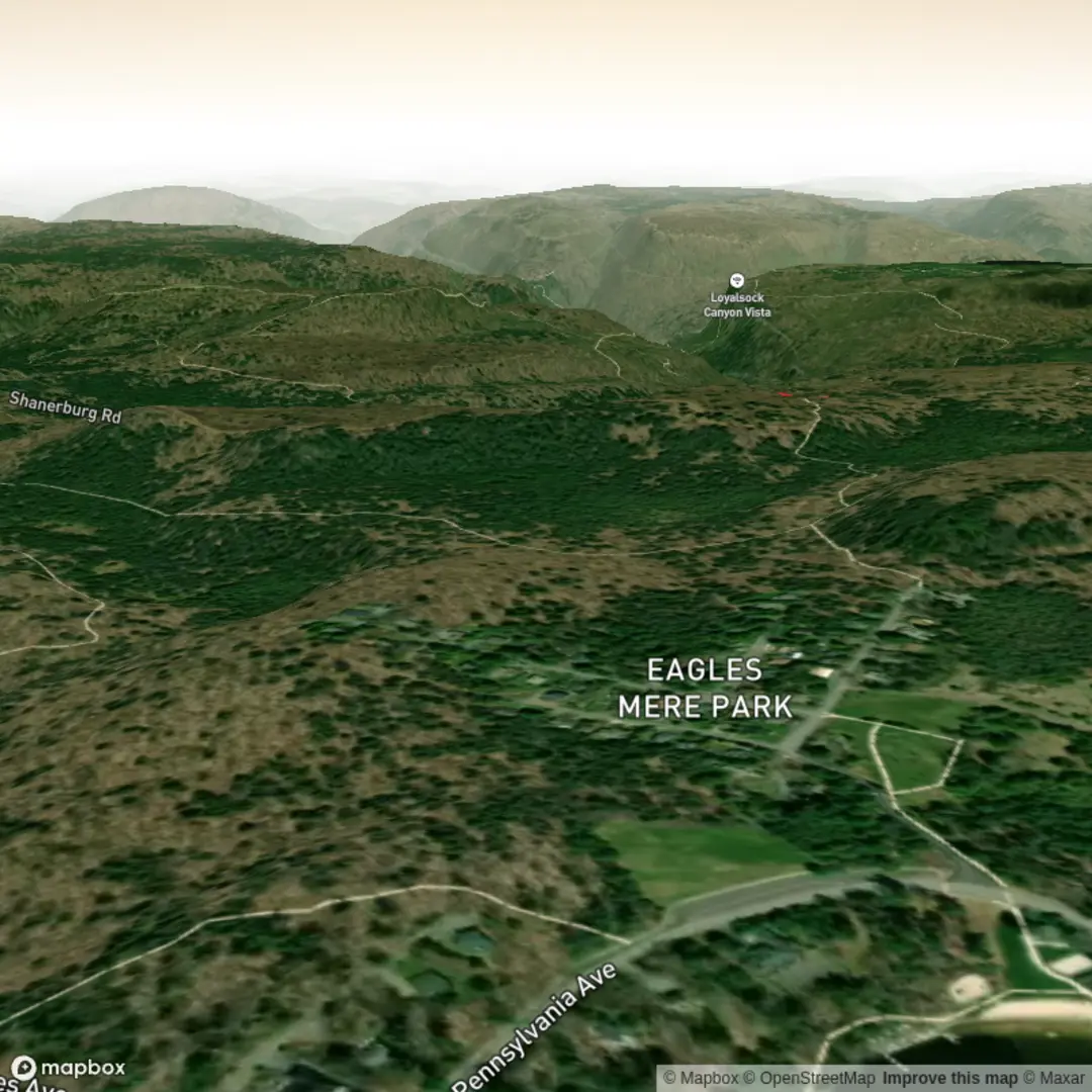 An image depicting the trail Yellow Arrow Trail and its surrounding area.