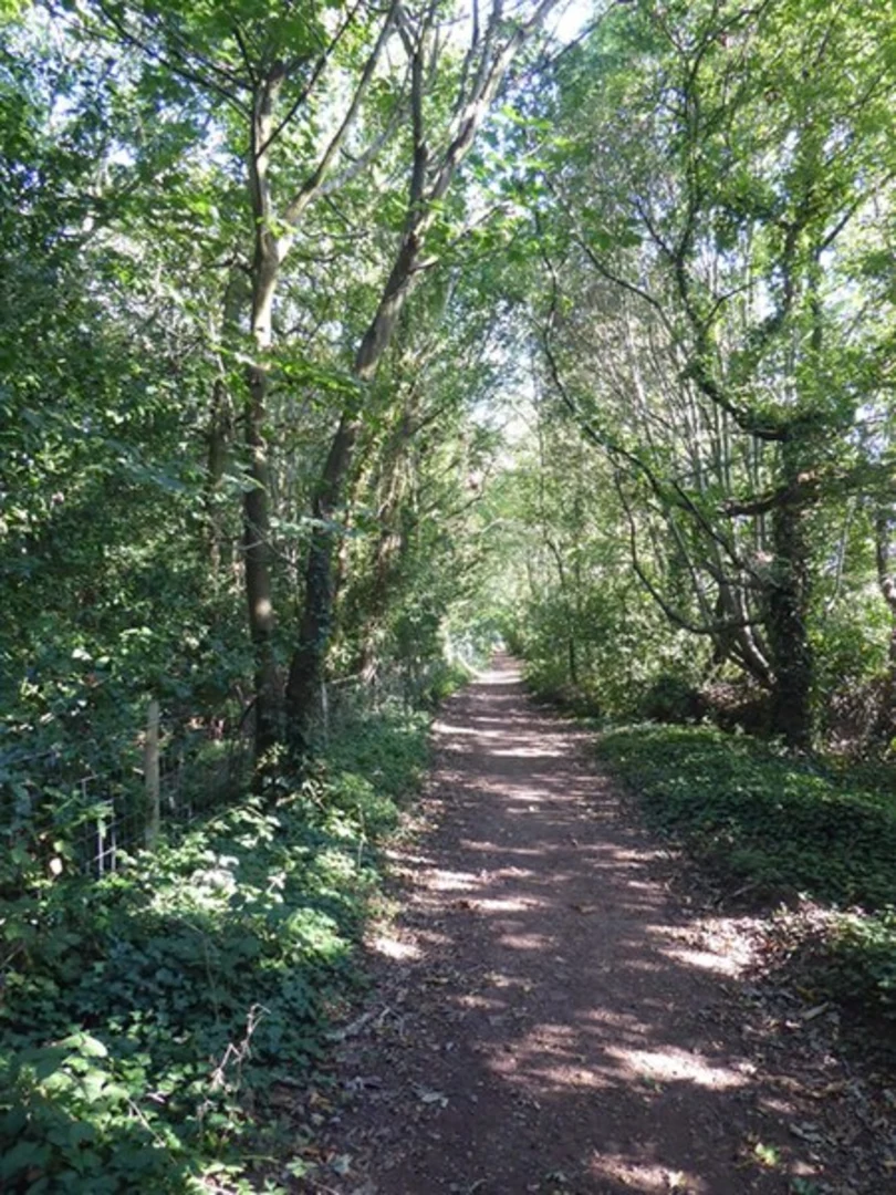 An image depicting the trail Eartham Thicket and Boxgrave Common and its surrounding area.