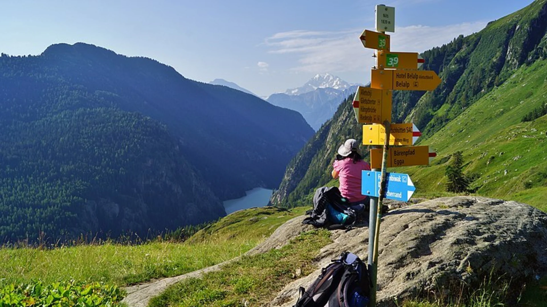 An image depicting the trail Ridge Hike to Aletsch Forest and its surrounding area.