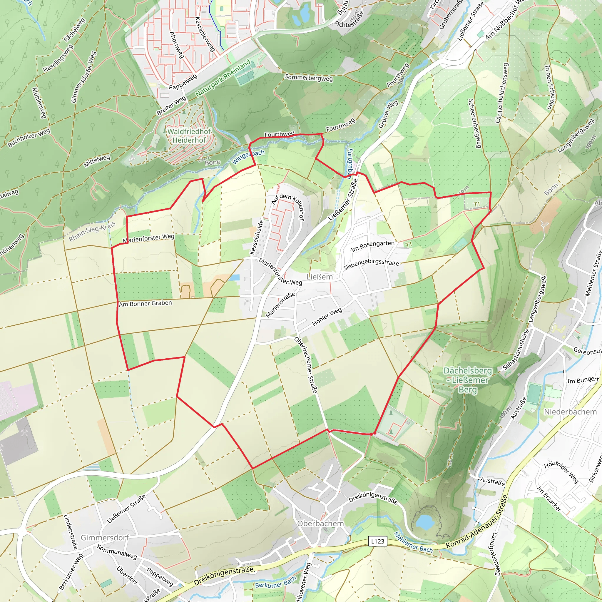 Ließem Loop mobile static map