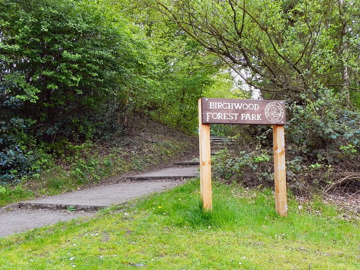 Birchwood Forest Park Loop