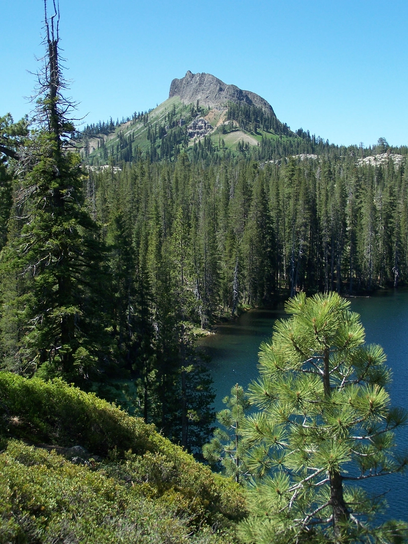 An image depicting the trail Palisades Creek Trail Out and Back and its surrounding area.