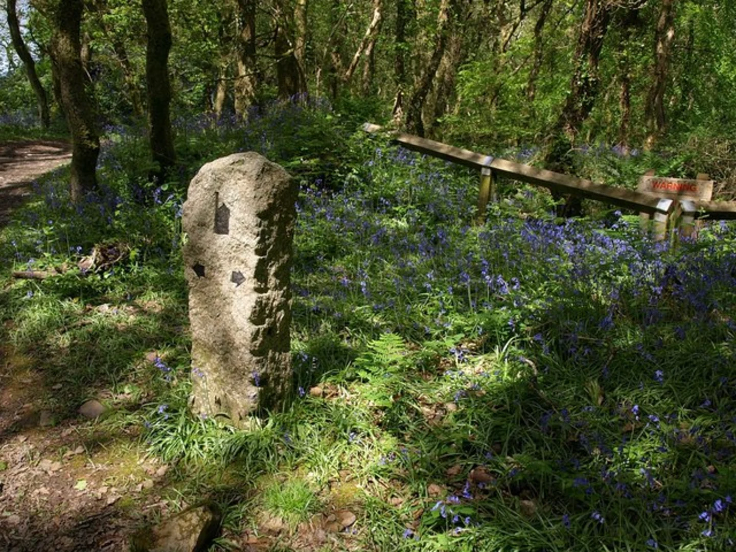 An image depicting the trail Unity Wood and Hale Mills and its surrounding area.