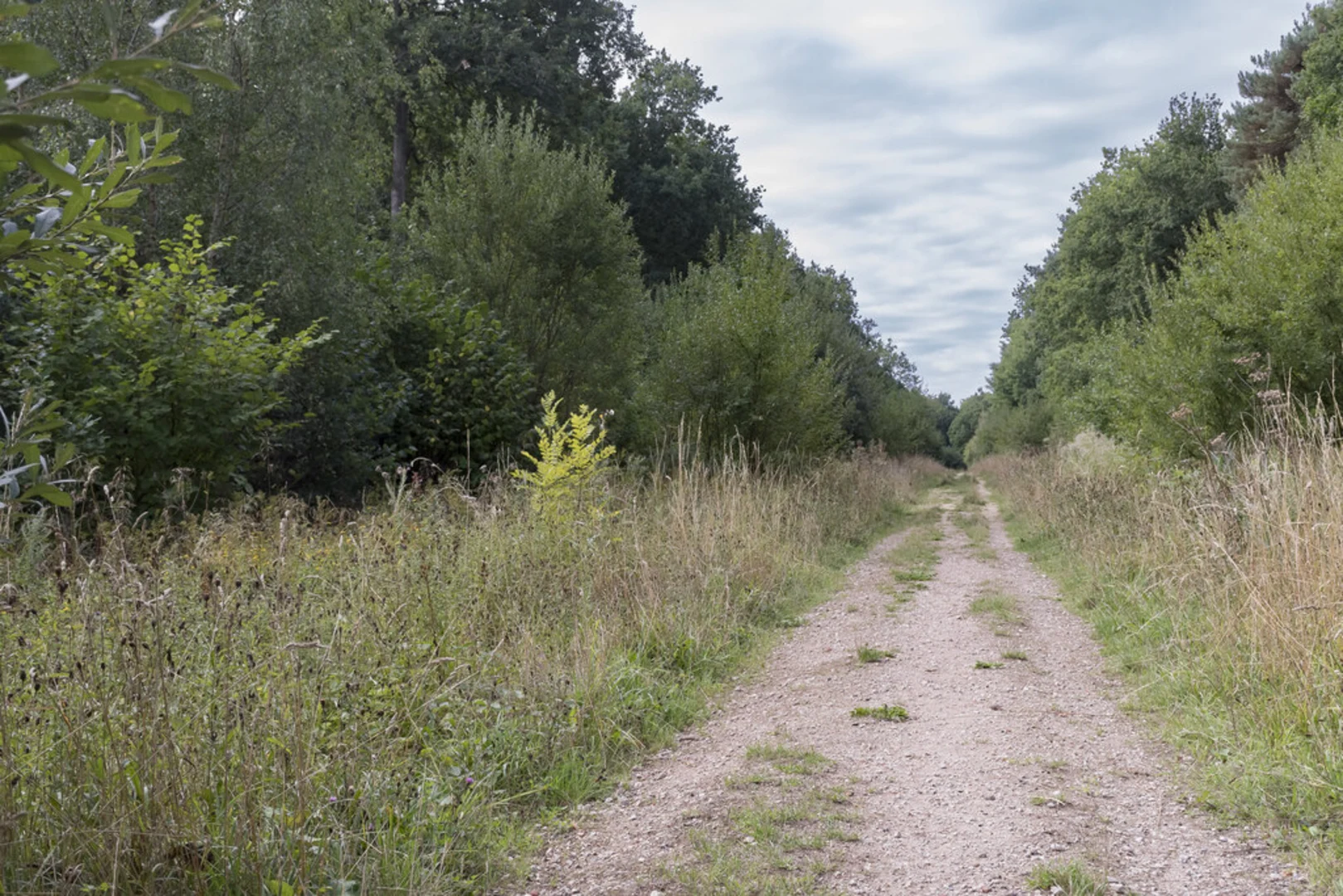 An image depicting the trail Bardney Loop and its surrounding area.