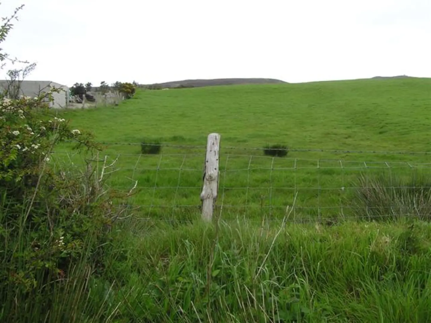 An image depicting the trail Bree Trail - Wilton Walk and its surrounding area.