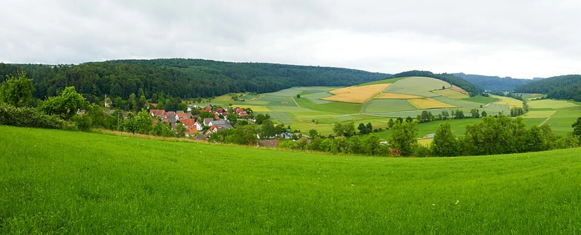 An image depicting the trail Neckargerach to Mosbach Walk via Schreckberg and its surrounding area.