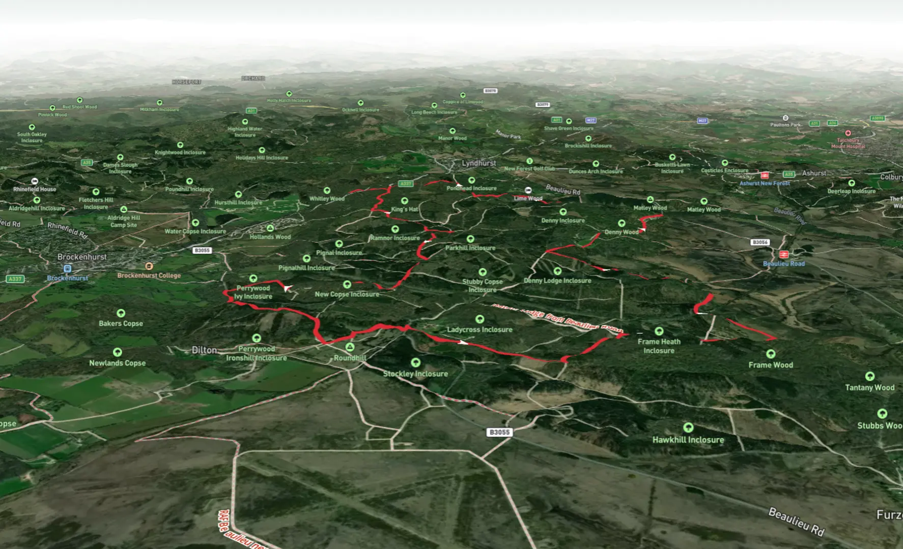 Denny Inclosure, Ladycross Inclosure and Hollands Wood Loop Hampshir