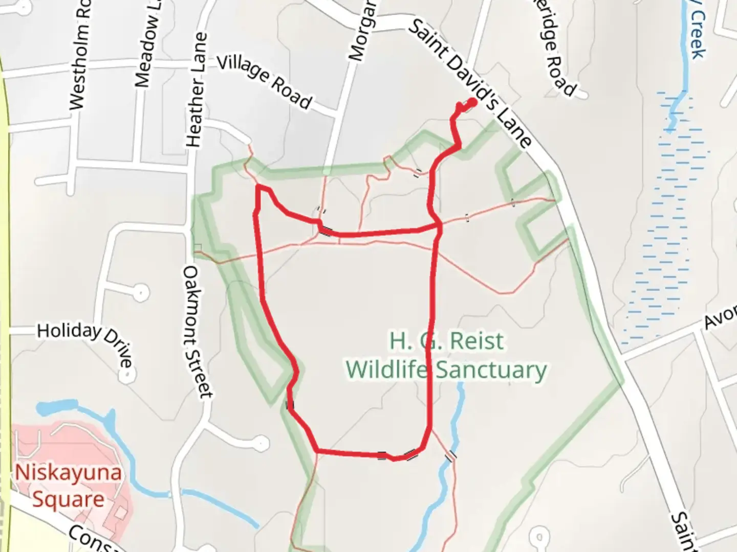 An image depicting the trail Paul Schaefer Yellow Trail and Hidden River Trail Loop and its surrounding area.