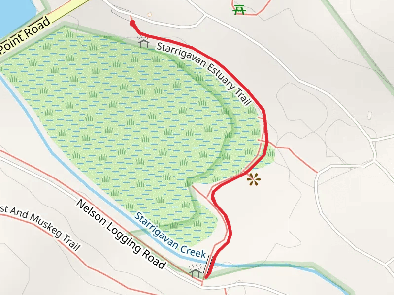 Starrigavan Estuary Trail