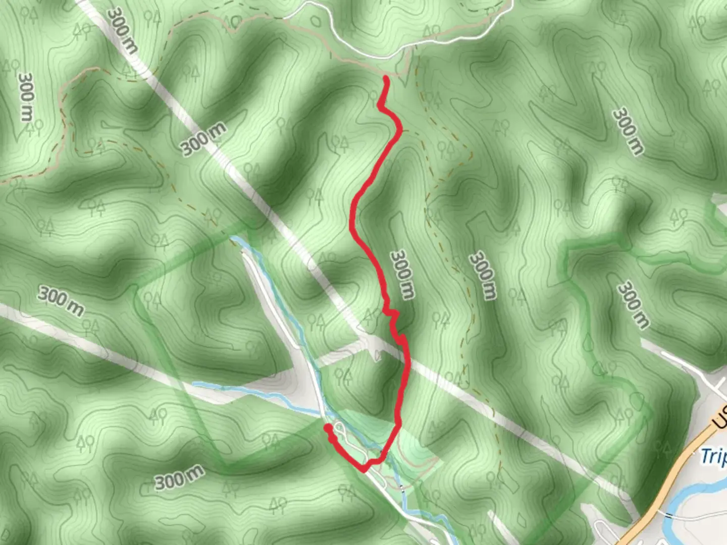 An image depicting the trail Rodburn Hollow Park North Walk and its surrounding area.