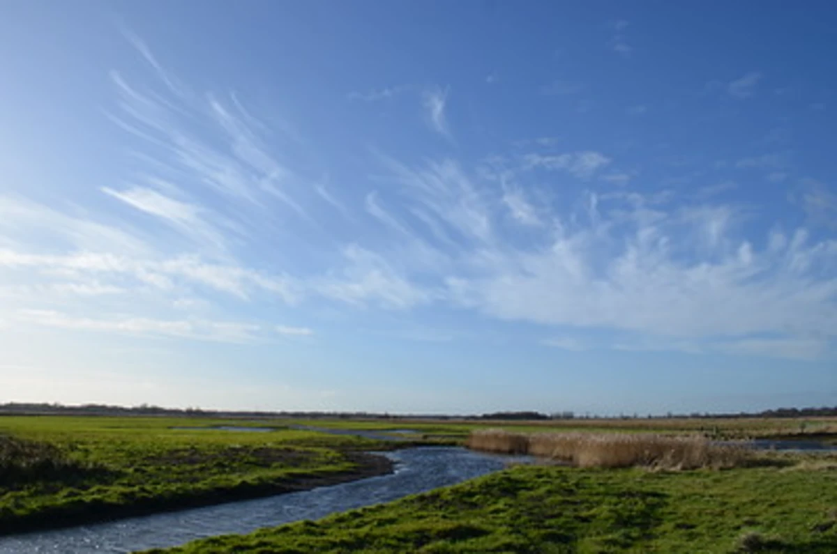 Carlton Marshes and Nicholas Everitt Park Loop