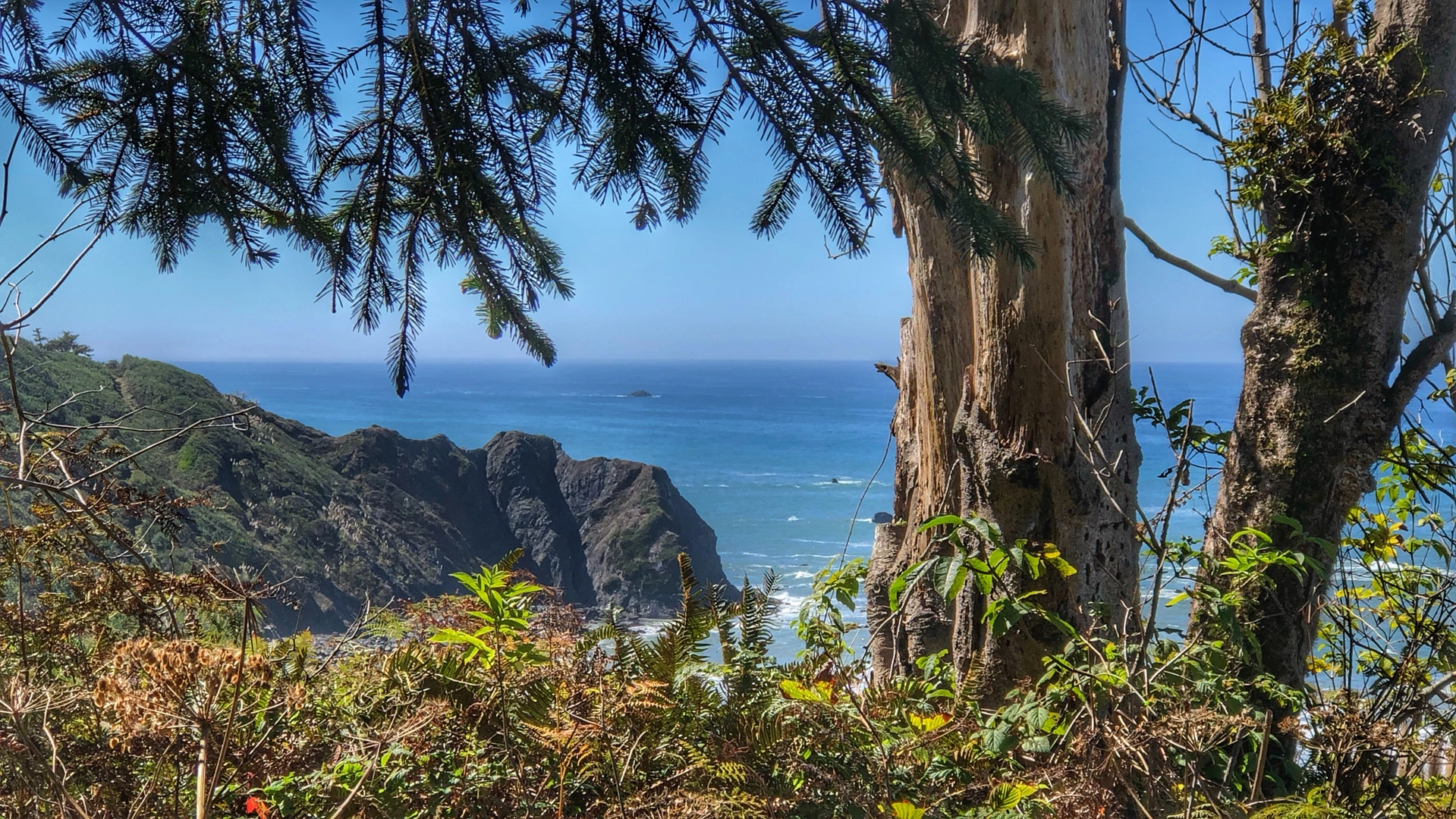 An image depicting the trail Sumeg Village Trail and its surrounding area.