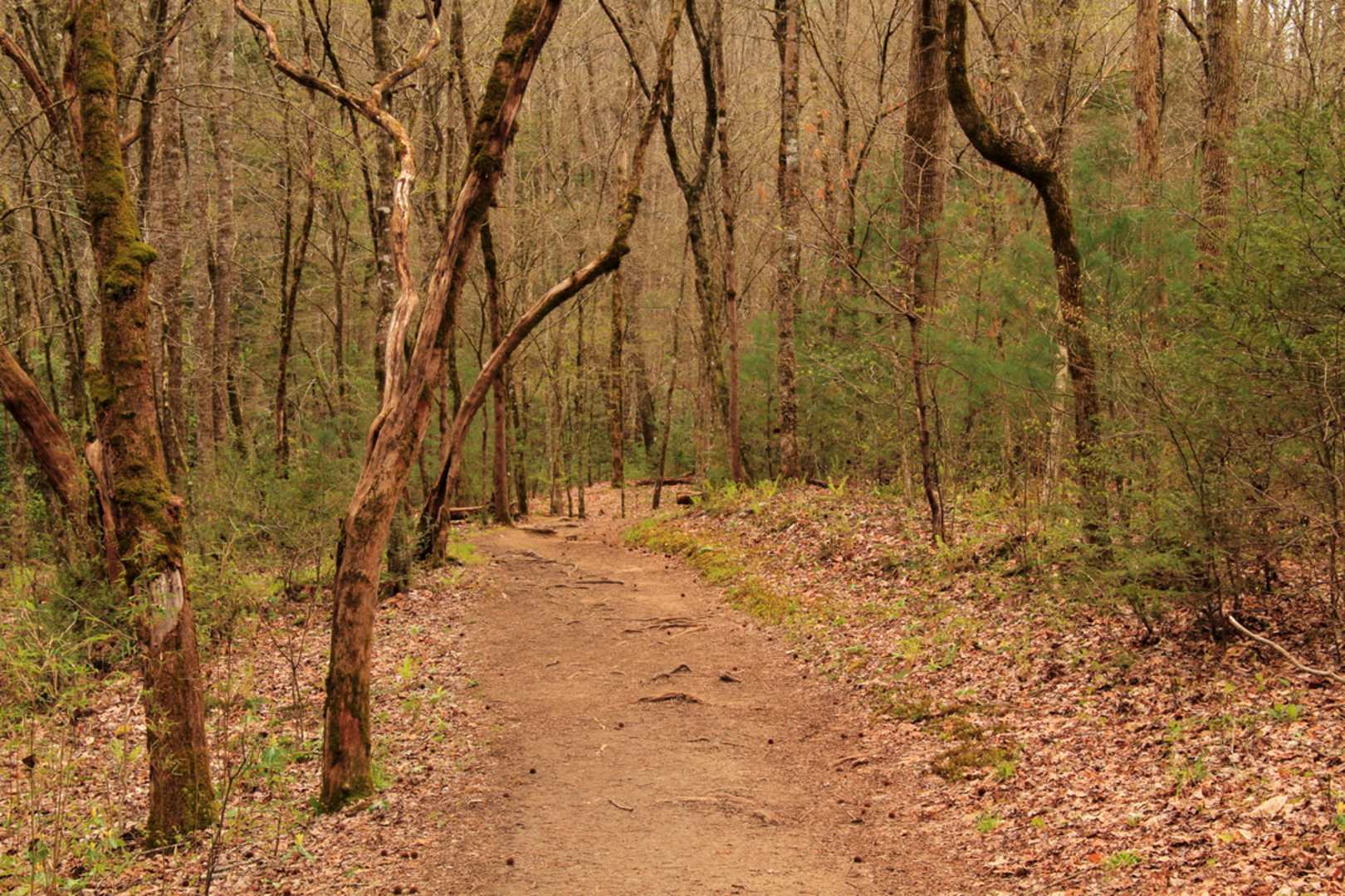 An image depicting the trail Meigs Creek Trail and its surrounding area.