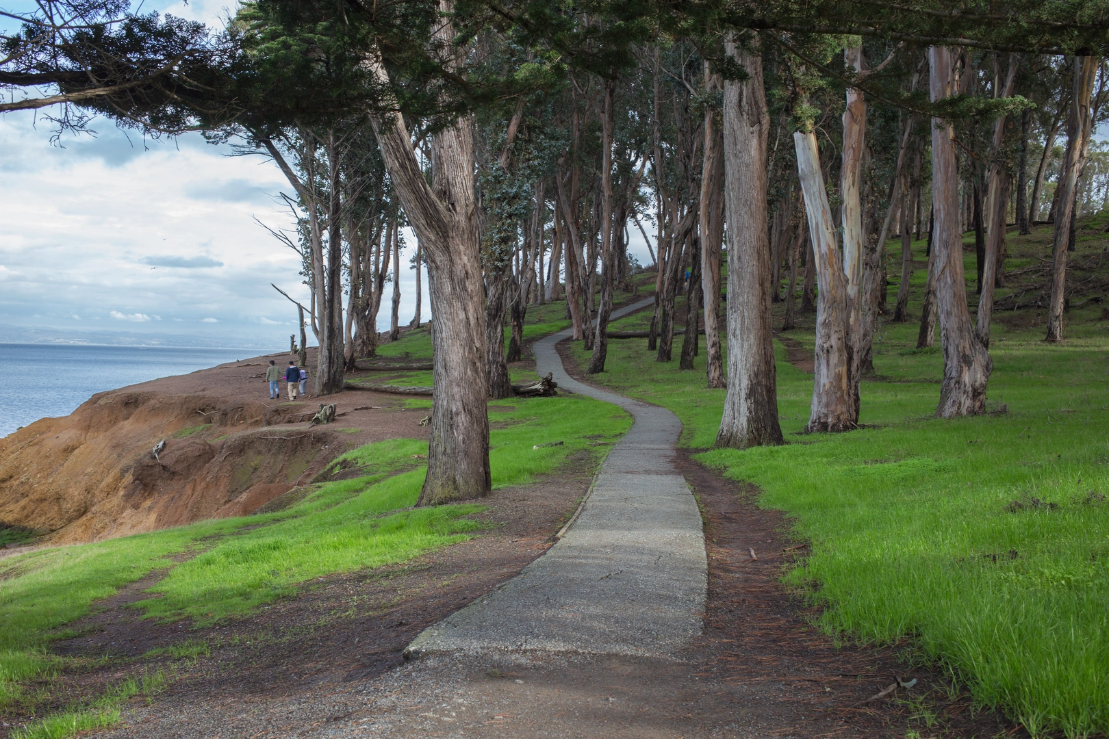 An image depicting the trail San Francisco Bay Trail - Short and its surrounding area.