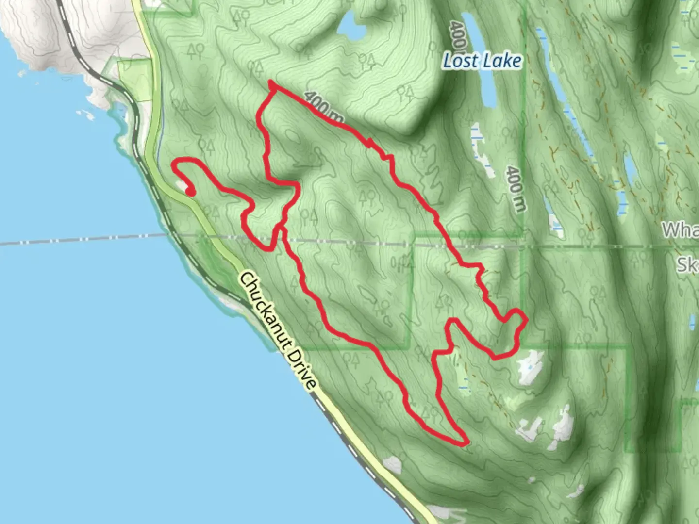 An image depicting the trail Larrabee and South Lost Lake Trail and its surrounding area.