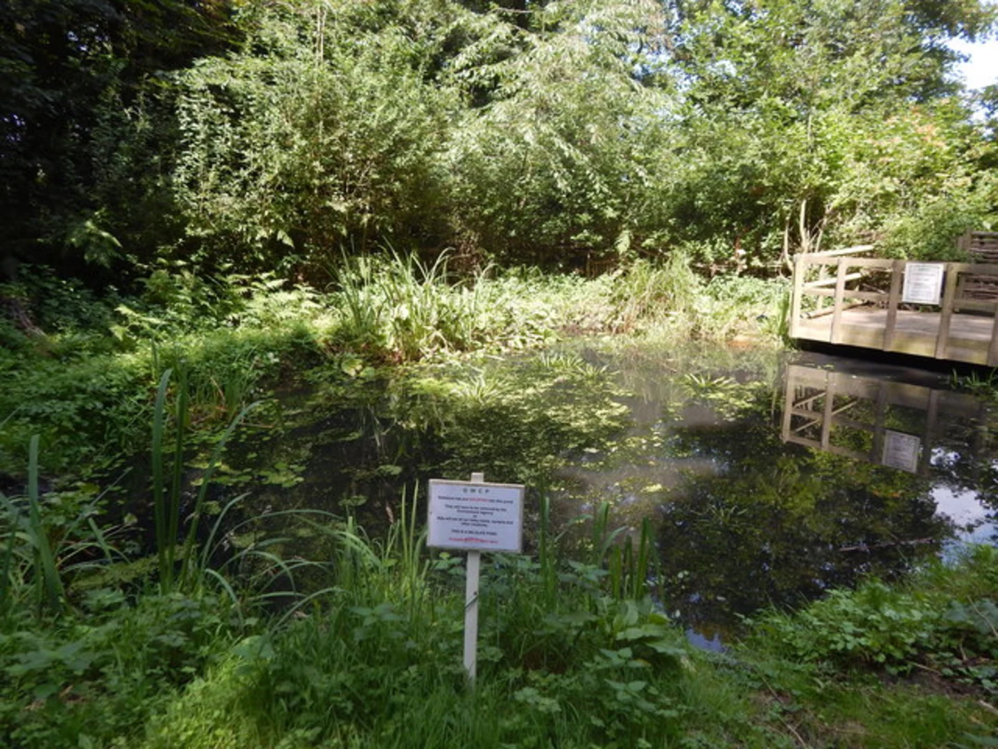 An image depicting the trail Gunton Wood Loop and its surrounding area.