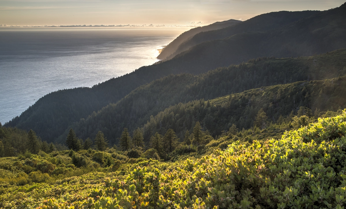 Lost Coast Trail and Timber Haul Road Loop
