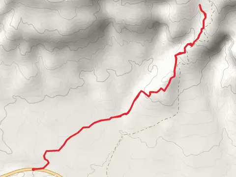Continental Divide Trail from County Road 424
