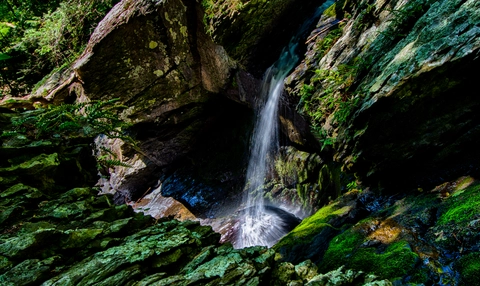 Tumbling Waters Trail