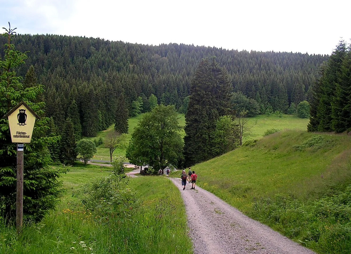 An image depicting the trail Rote Mulde Loop via Kammweg Erzgebirge Vogtland and its surrounding area.
