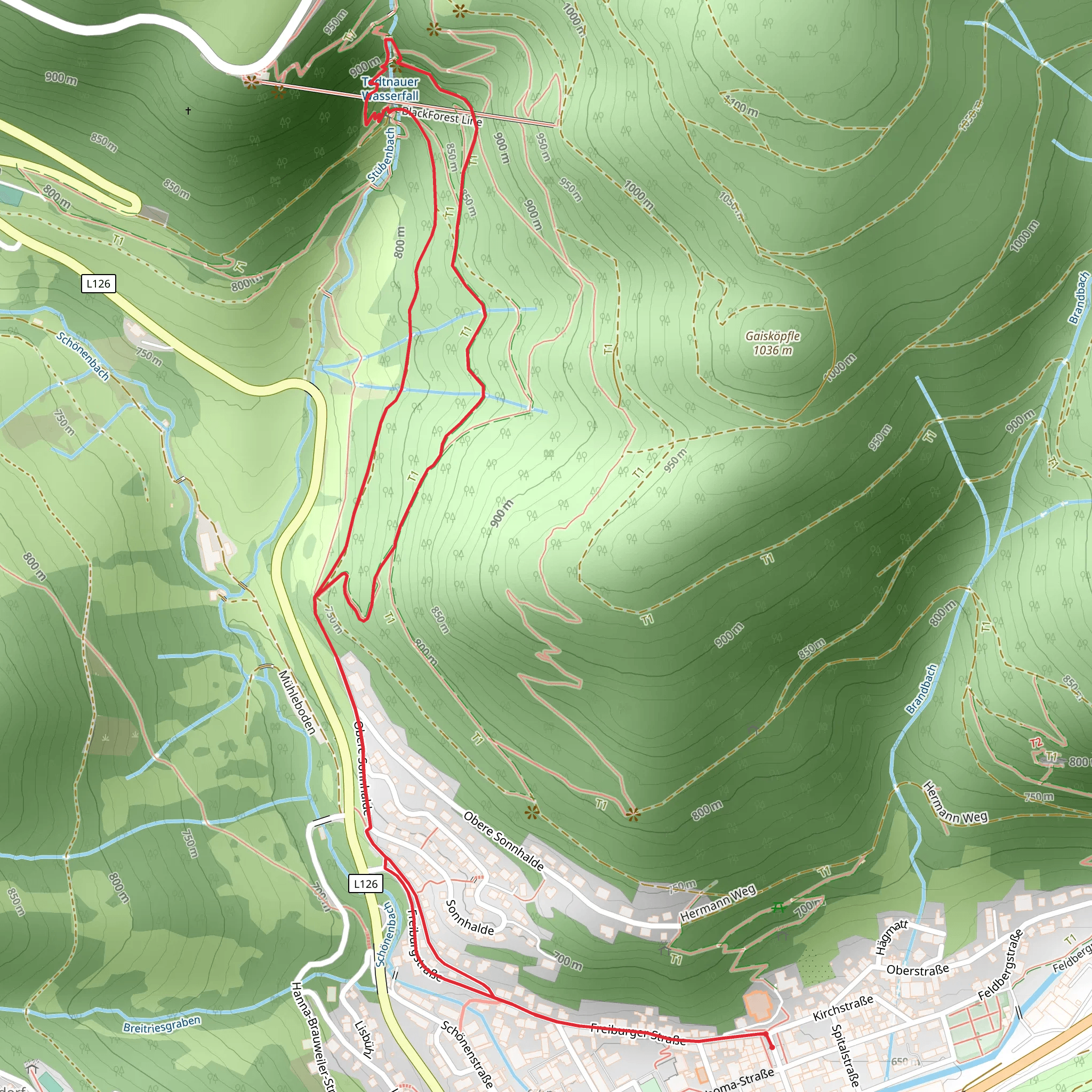 Todtnau Waterfall via Geniesserpfad Wesserfallsteig mobile static map