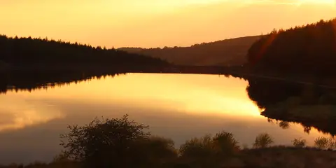 An image depicting the trail Cloud 7 Circuit and its surrounding area.
