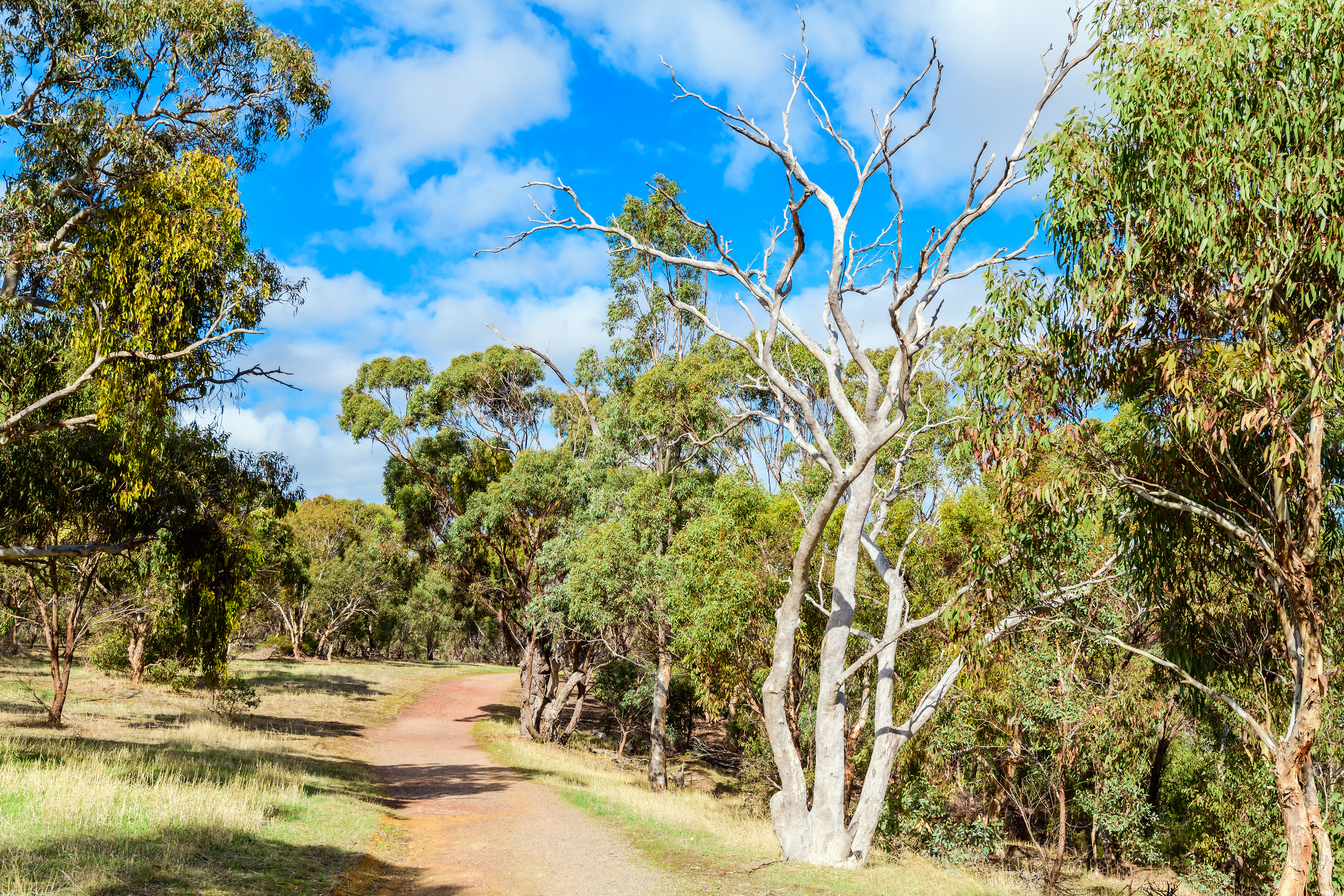 An image depicting the trail Onkaparinga River National Park and its surrounding area.