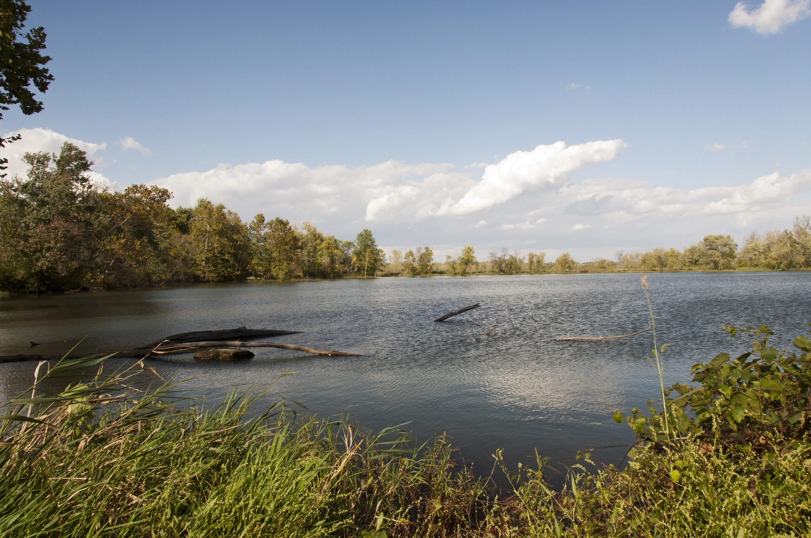 An image depicting the trail Alum Creek Greenway Trail and its surrounding area.