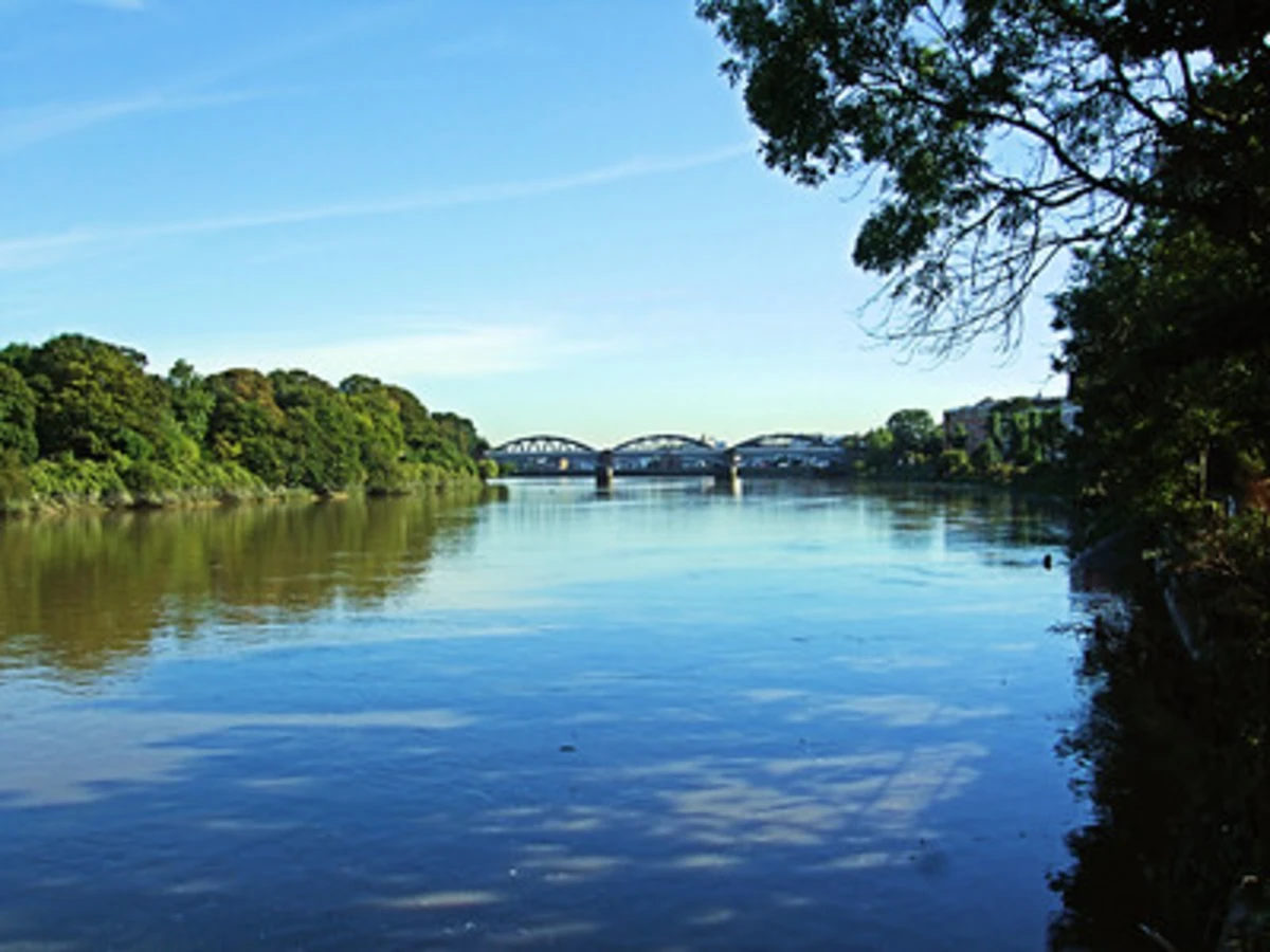 Barnes Bridge to Putney Bridge Loop