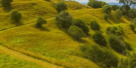 An image depicting the trail Three Volcanoes Track - Hobson - St John - Eden and its surrounding area.
